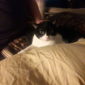 Meet your Posher, Kim